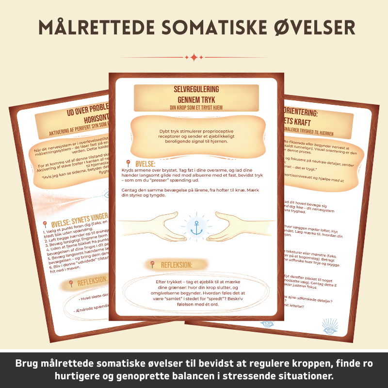 Somatisk Beroligende Terapi-arbejdsbog - Genskab Dit Nervesystem På En Naturlig Måde